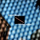 David Gray - Say Hello and Wave Goodbye