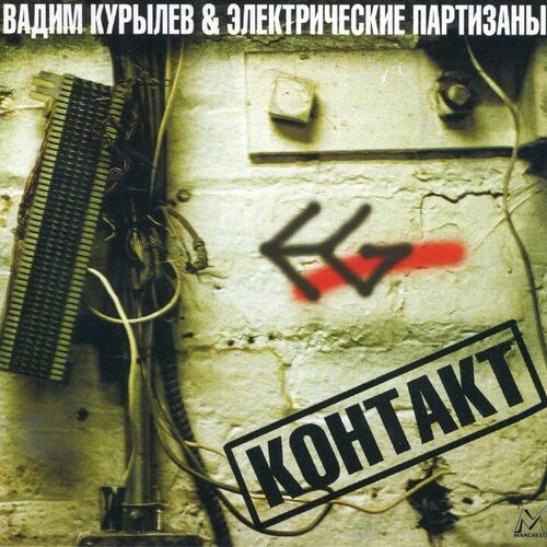Электропартизаны - Весёлые картинки