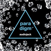 Entity Paradigm - Hamesha