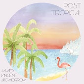 James Vincent McMorrow - Sparrow & The Wolf