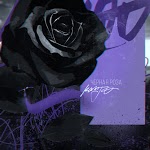 KANJO - Черная роза