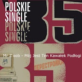 Mr. Zoob - Moj jest ten kawalek podlogi