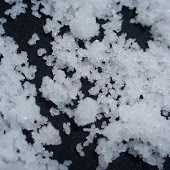 NaCl - Перелетные птицы
