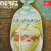 Nerez - Desticek