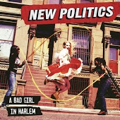 New Politics - Dignity