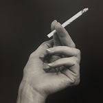 Незабудки - Сентябрь