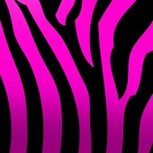 Pinkzebra - Larger Than Life