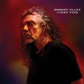 Plant Robert - Big Log