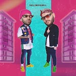 SelimRamil - Виноваты звезды