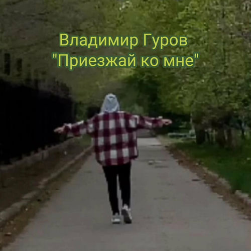 Владимир Гуров - В бутылке