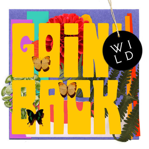 Wild - Back To You